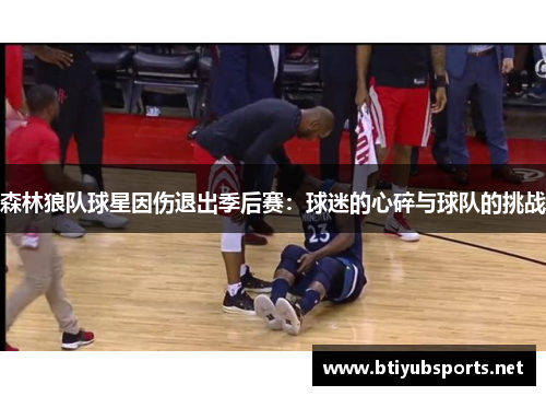 森林狼队球星因伤退出季后赛：球迷的心碎与球队的挑战